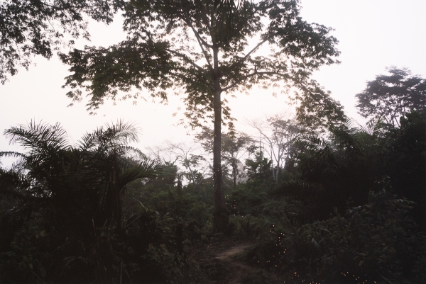 http://www.mounasaboni.com/files/gimgs/65_mokoyo5.jpg